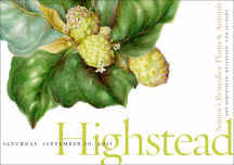 gallery/highstead art exhibit postcard_v1b